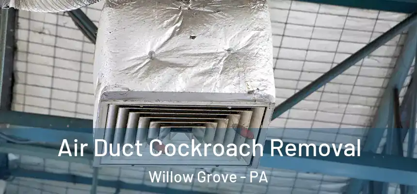  Air Duct Cockroach Removal Willow Grove - PA