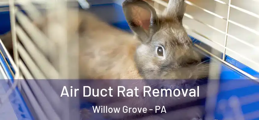  Air Duct Rat Removal Willow Grove - PA