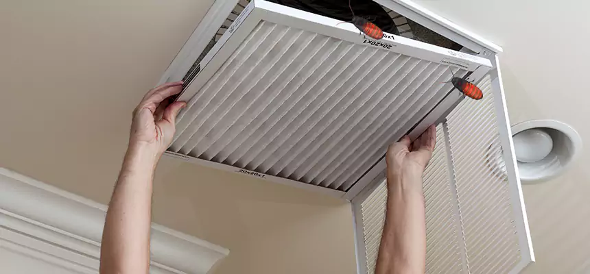 Preventive Cockroach-Proofing for Ducts in Willow Grove