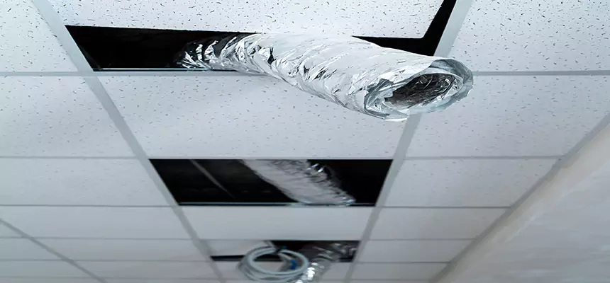 Affordable HVAC Sanitizing After Pest Removal in Willow Grove