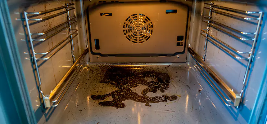 Our Dryer Vent Mold Cleaning Services in Willow Grove, PA