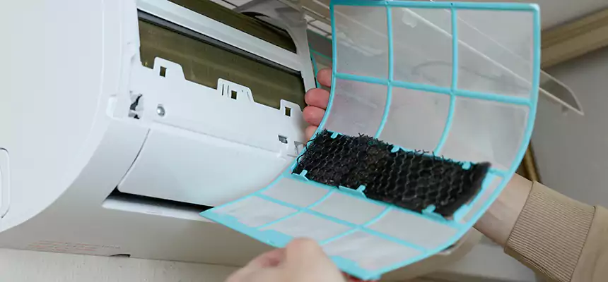 Gentle Ductwork Odor-Control Pet Dander Duct Cleaning in Willow Grove, PA