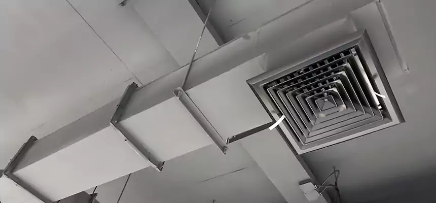 Our Rodent Droppings In Vents Services in Willow Grove, PA