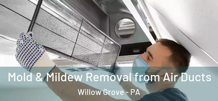  Mold & Mildew Removal from Air Ducts Willow Grove - PA