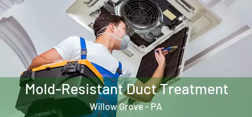  Mold-Resistant Duct Treatment Willow Grove - PA
