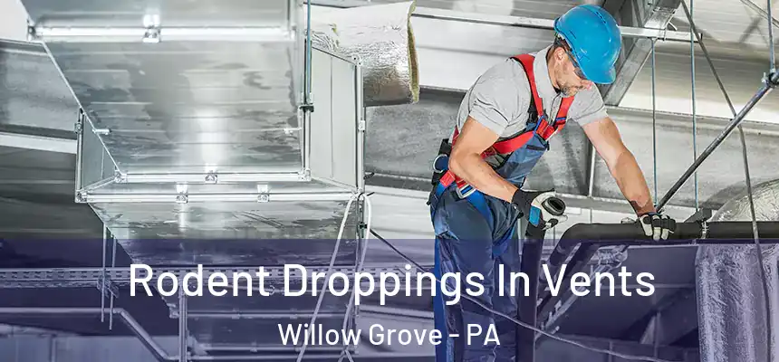  Rodent Droppings In Vents Willow Grove - PA