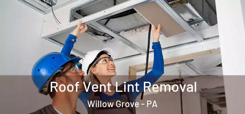  Roof Vent Lint Removal Willow Grove - PA