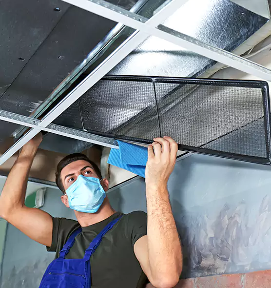 Professional Air Duct Pollen Cleaning in Willow Grove, PA