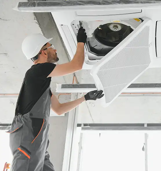 About Air Duct Rodent Removal in Willow Grove, PA