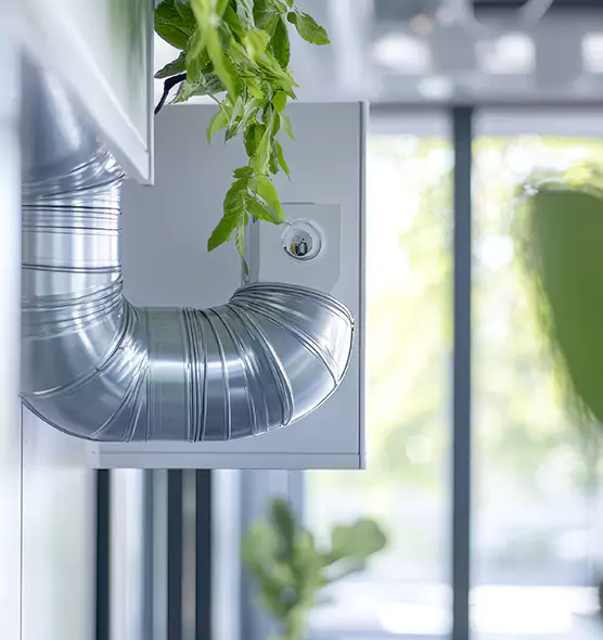 Professional Eco-Safe Dryer Vent Cleaning in Willow Grove, PA