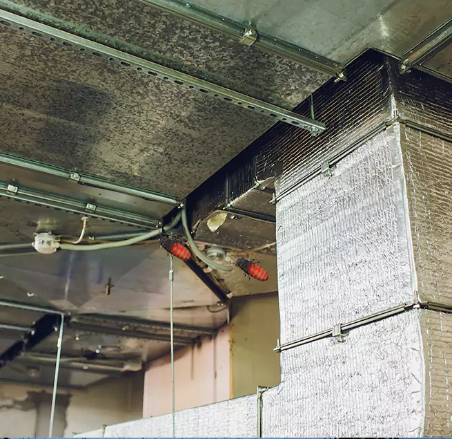 Why Homeowners & Businesses Trust Us in Willow Grove, PA?