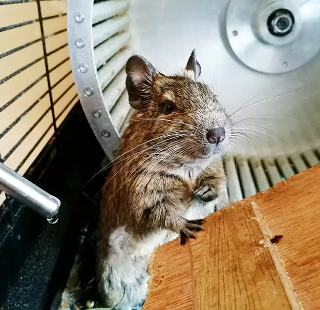 Why Homeowners & Businesses Trust Us Willow Grove, PA?