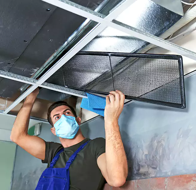 Why Homeowners Businesses Trust Us in Willow Grove, PA