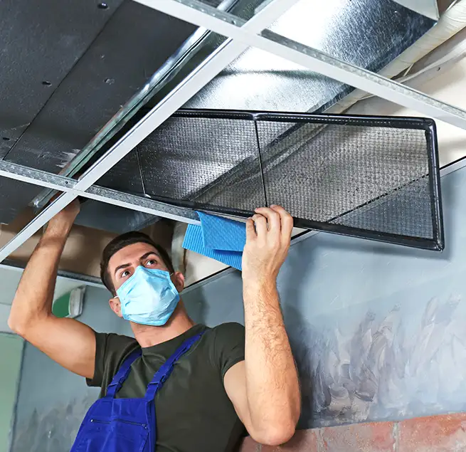 Why Homeowners & Businesses Trust Us in Willow Grove, PA?